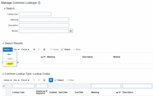 Bulk Import of Lookup TypesCodes Using File Based Loader in HCM Cloud - 9