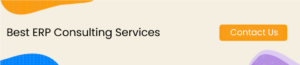 ERP Consulting Services