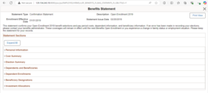 Filtering Enhancements for Benefits Statements in PeopleSoft HCM PUM Image 50 - Fig 3: Statement Section
