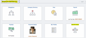 dependent-document-pum41-1